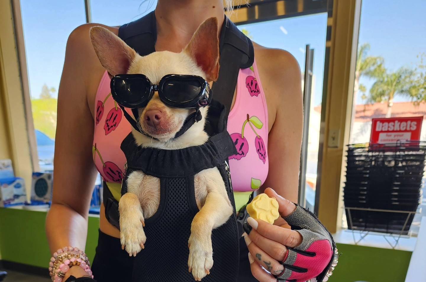 Pet Friendly Pet Wants Riverside