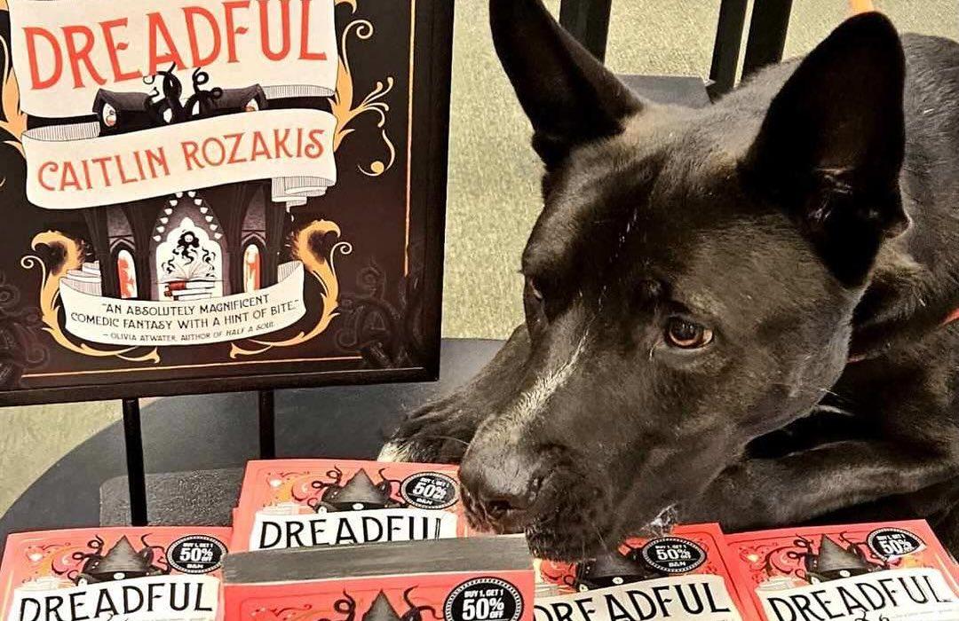 Pet Friendly Barnes & Noble Hadley