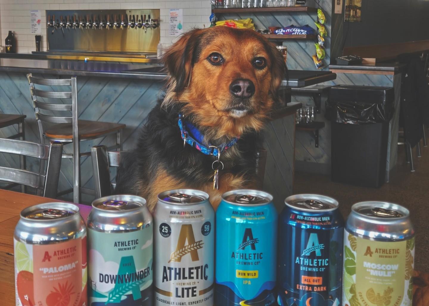 Pet Friendly Fermata Brewing Company