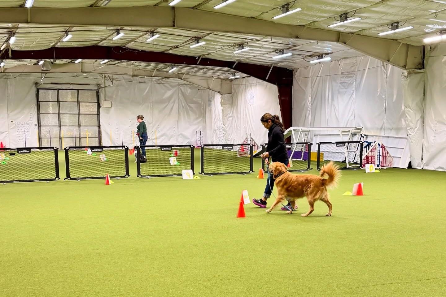 Pet Friendly Canine Athletics Training Center