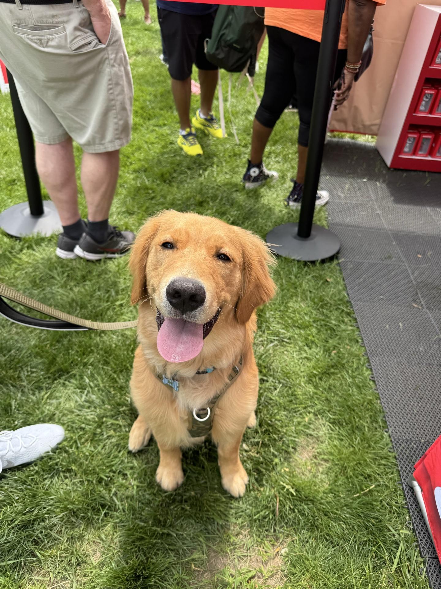 Pet Friendly Peddler's Village