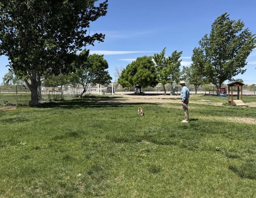 Pet Friendly Liberty Pond Dog Park