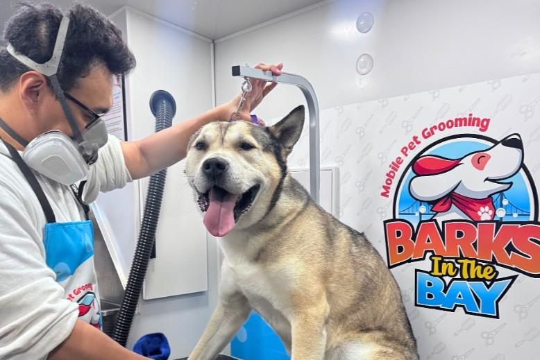 Pet Friendly Barks in The Bay Mobile Pet Grooming