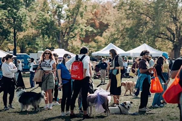 Pet Friendly Denver Dog Days