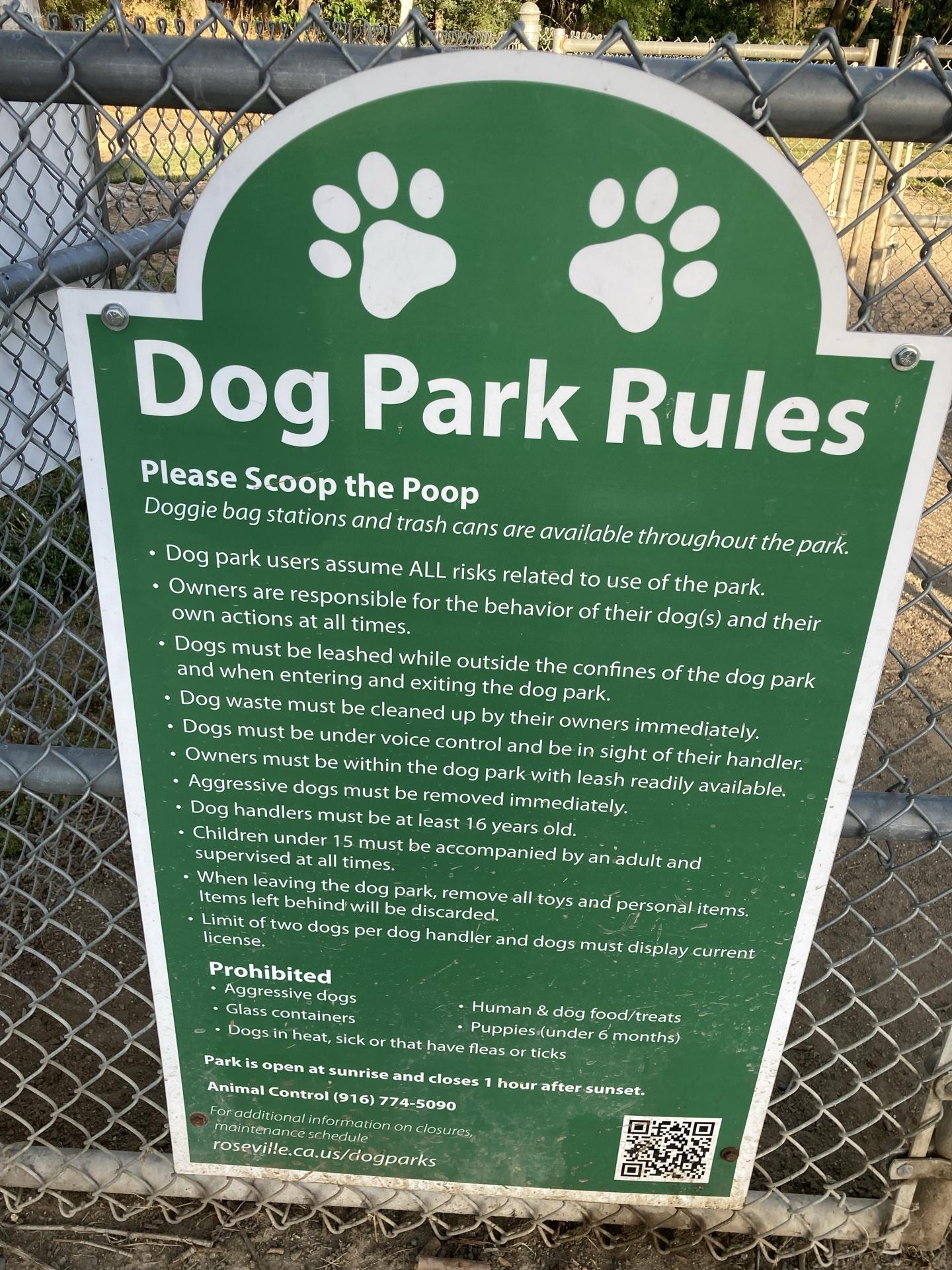 What'S Needed to Open Up a Dog Park: Essential Steps Revealed