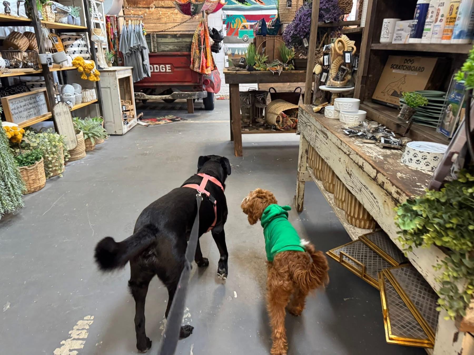 Pet Friendly The Barkantile