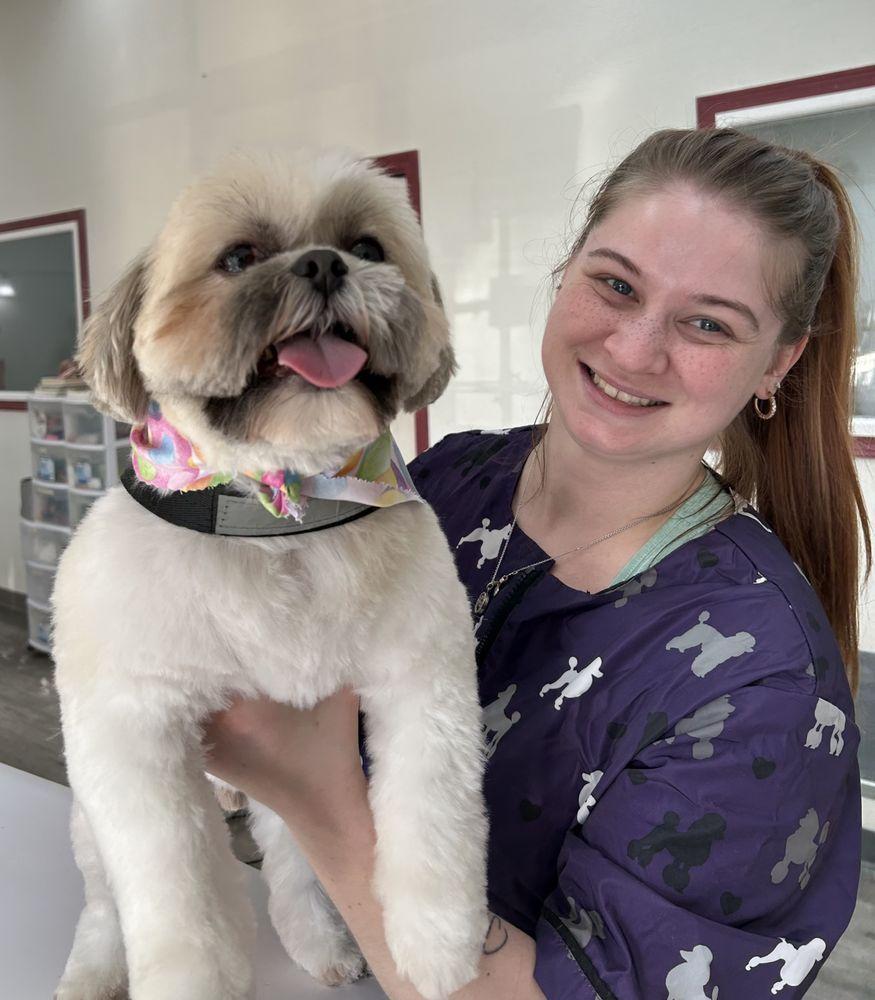 Pet Friendly Sarah's Groomingdale's Pet Salon