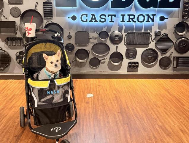 Pet Friendly Lodge Factory Store