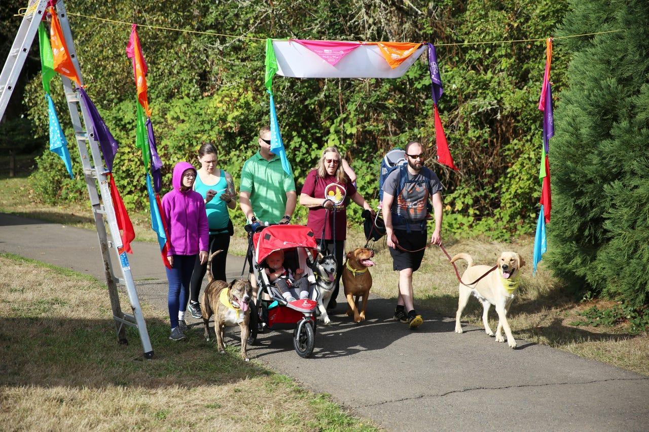 Pet Friendly Walk-n-Wag