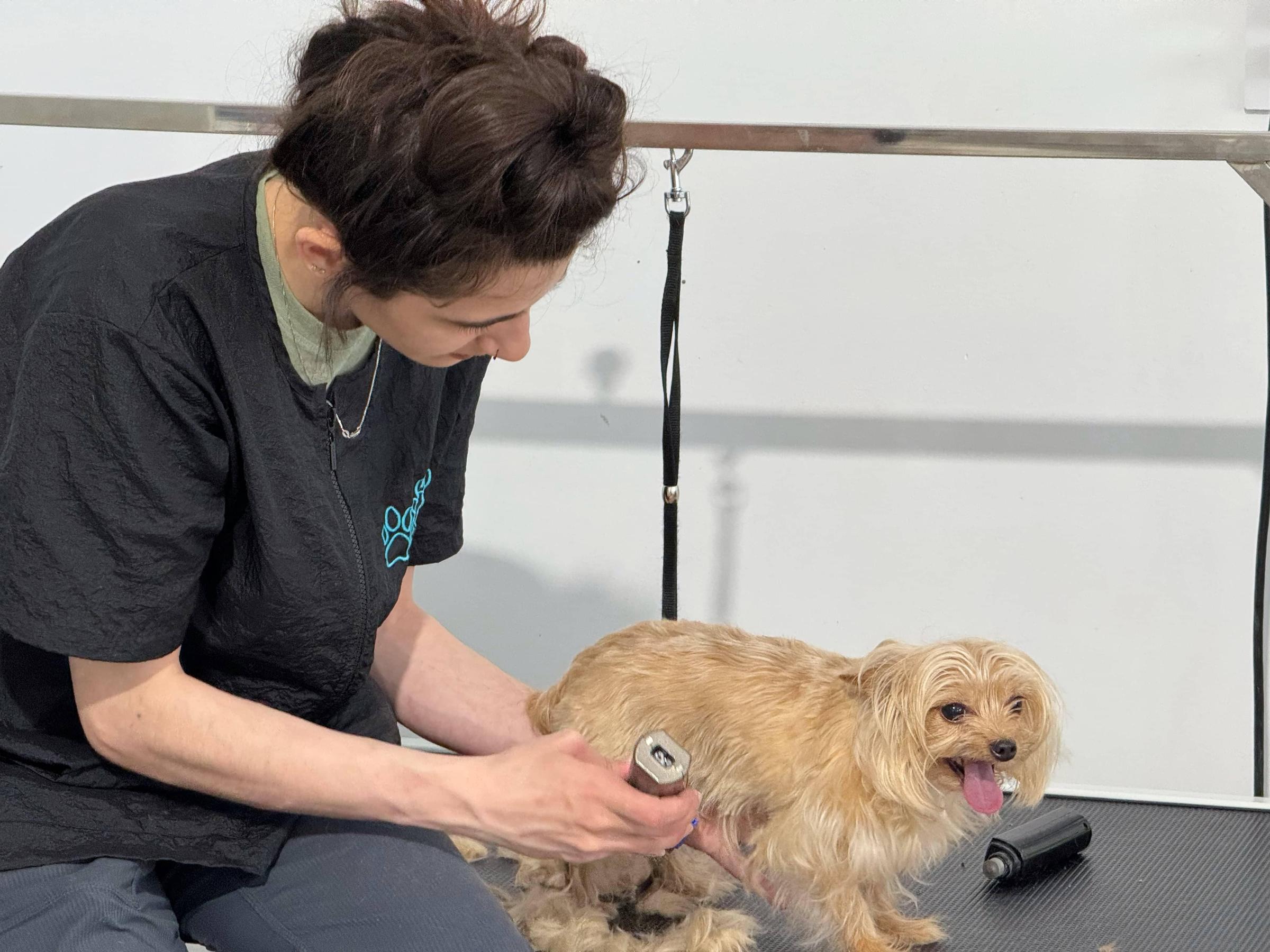 Pet Friendly Fab 'n Furry Pet Spa