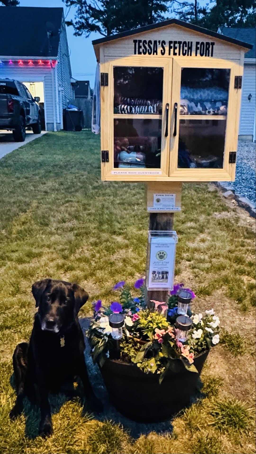 Pet Friendly Tessa's Fetch Fort