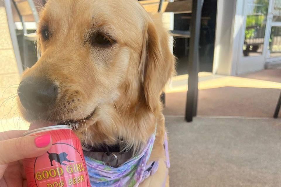 Pet Friendly Doggie Date Wednesdays