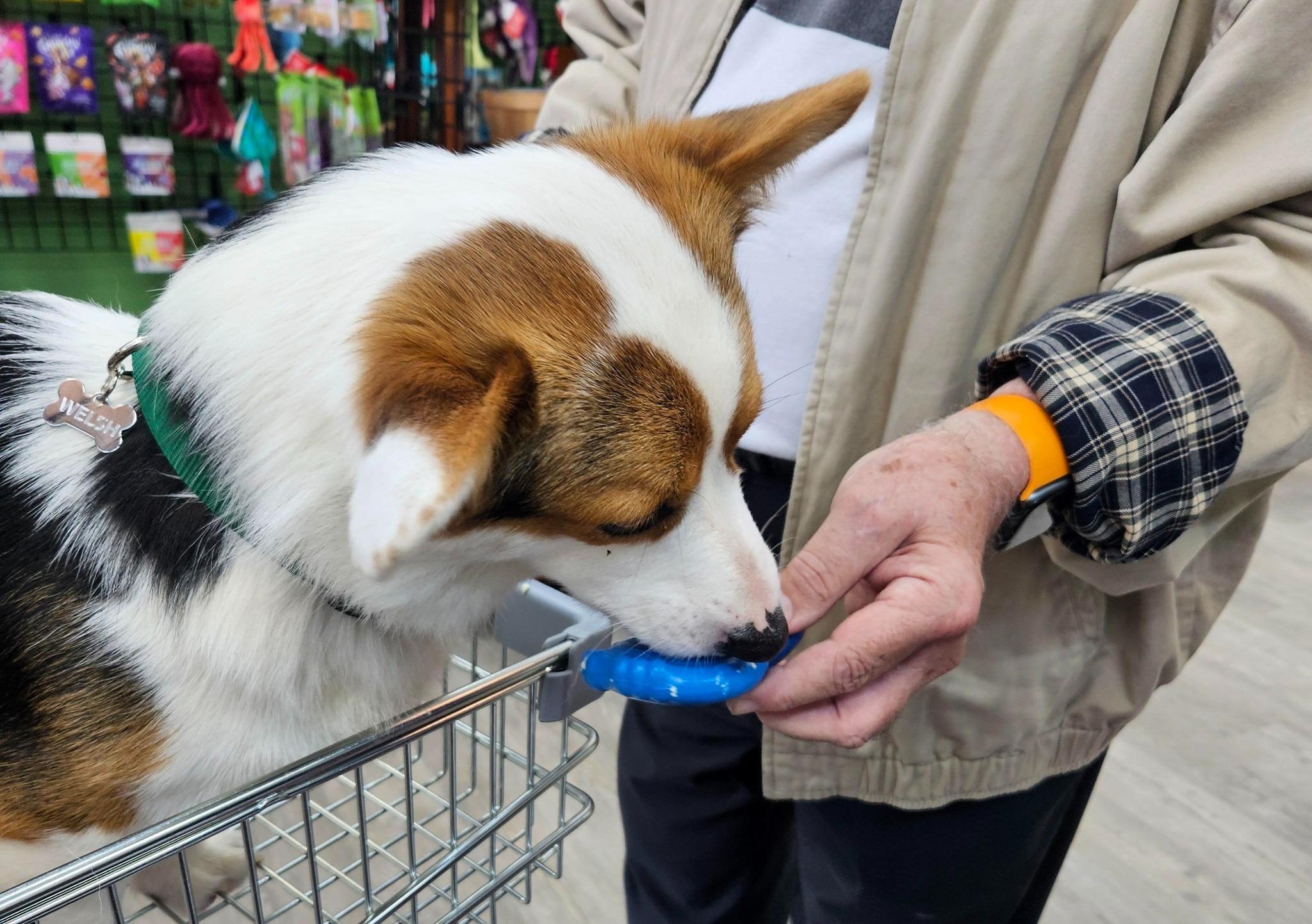 Pet Friendly Unleashed, the Dog & Cat Store of Southport
