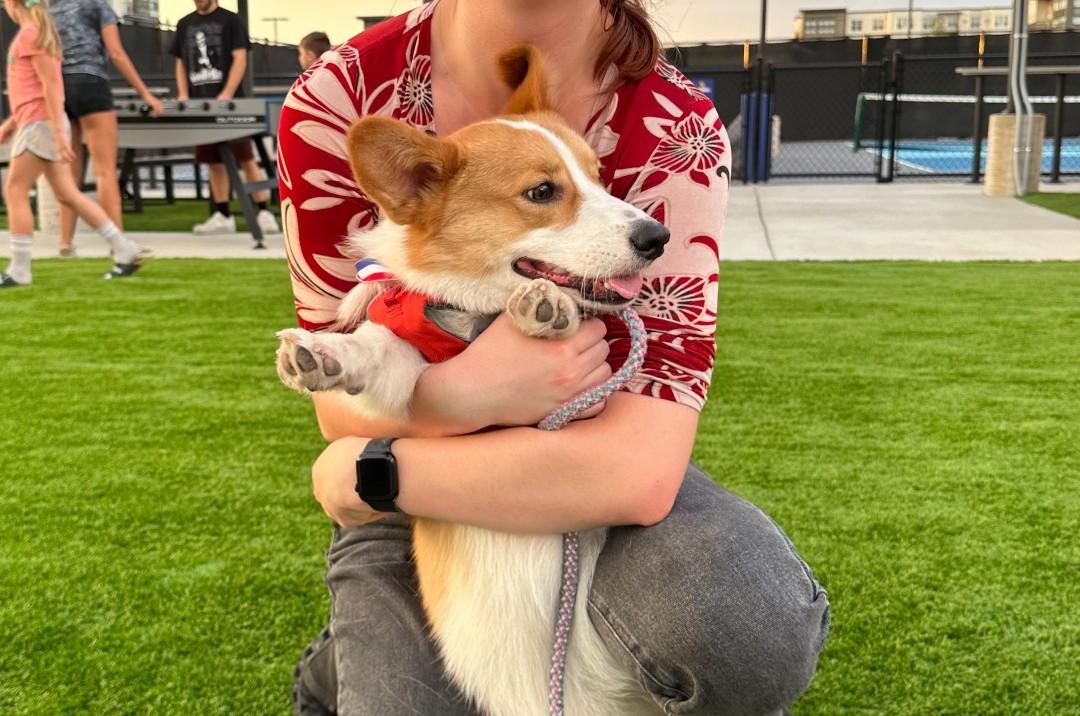 Pet Friendly Canines & Cocktails with Bacardi