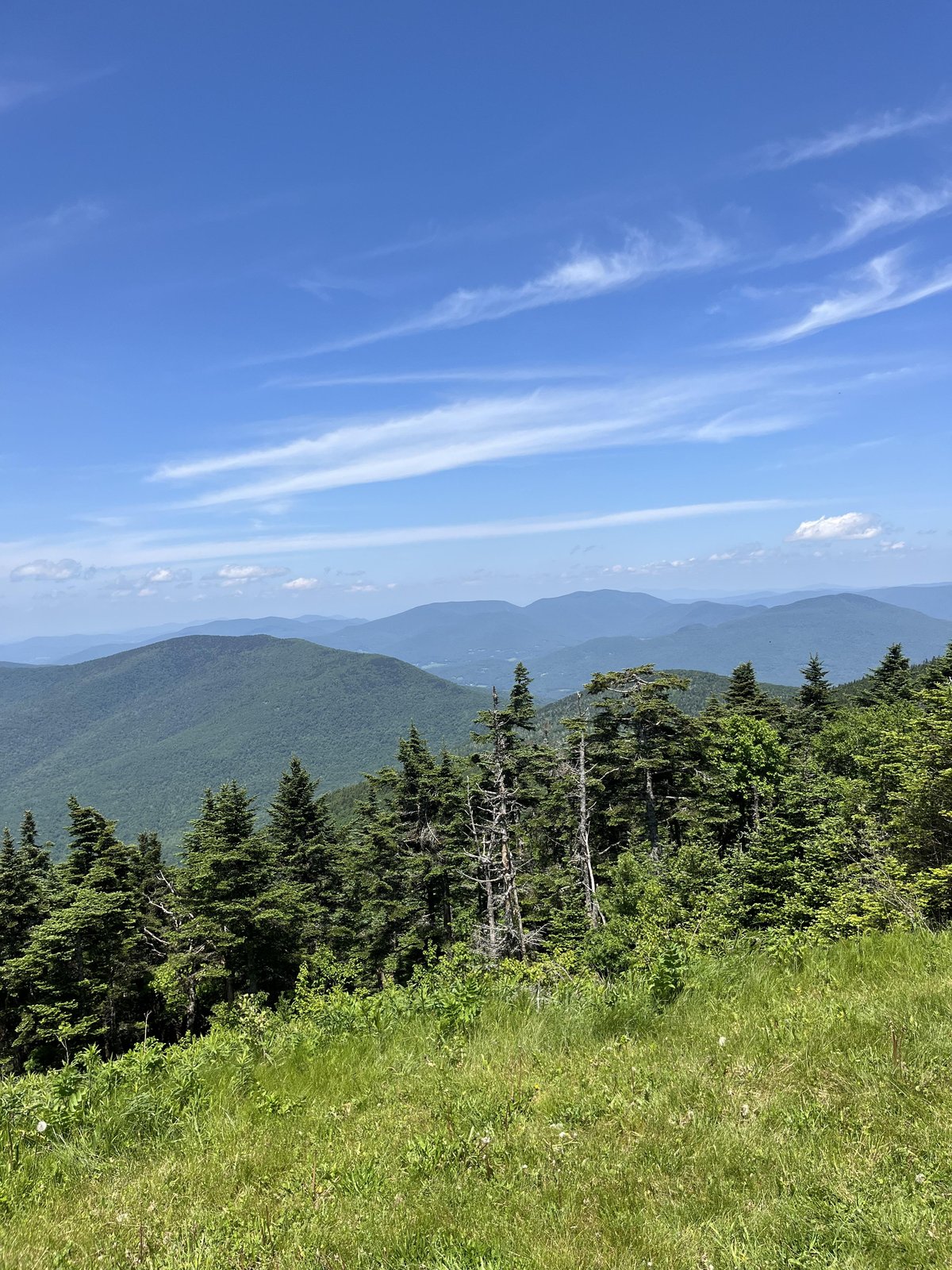 A view of the mountains from the top of the dog-friendly Mount Equinox Skyline Drive in Arlington, VT.