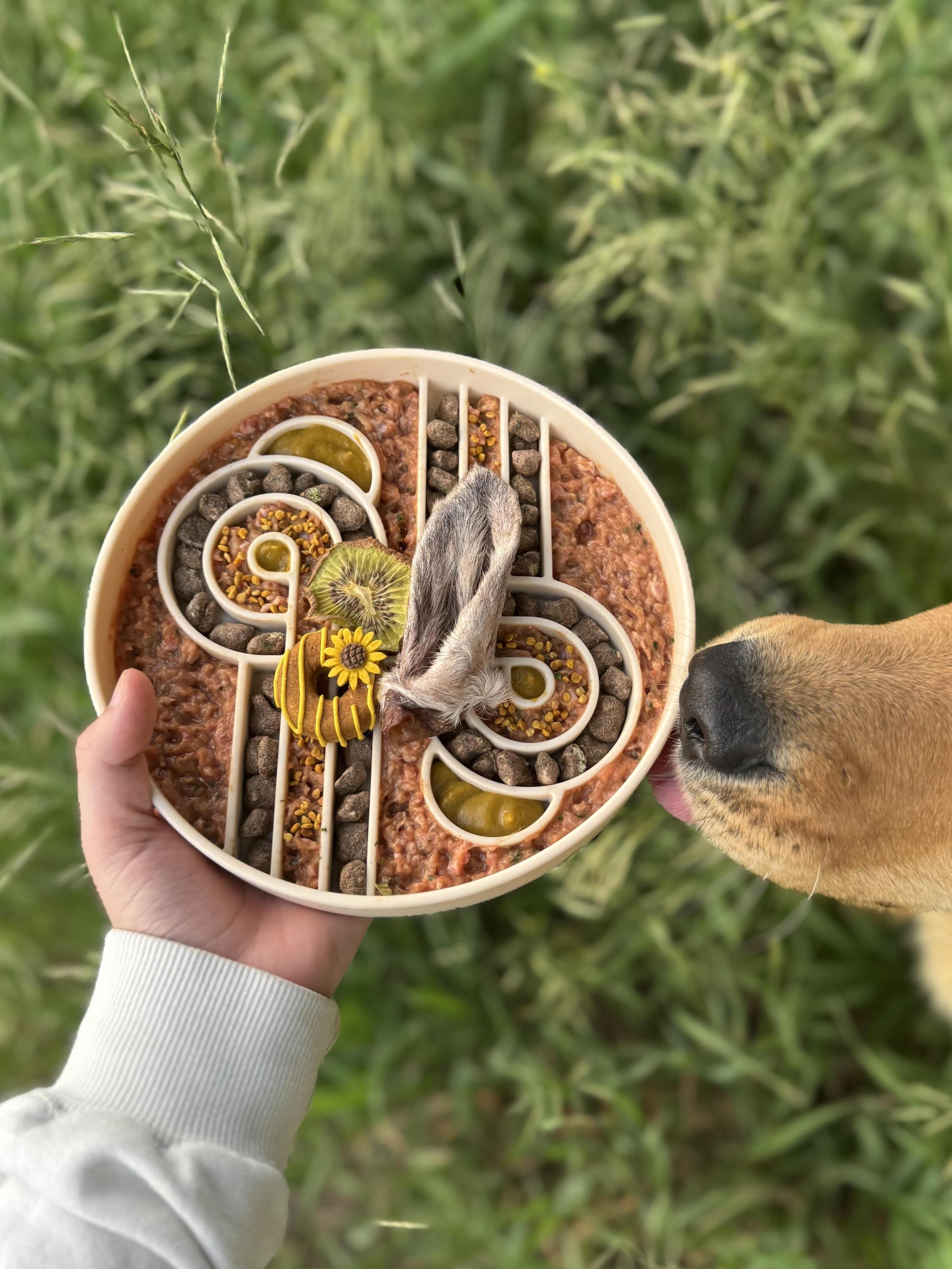 Pet Friendly Enrichment by the Creek + Pack Walk
