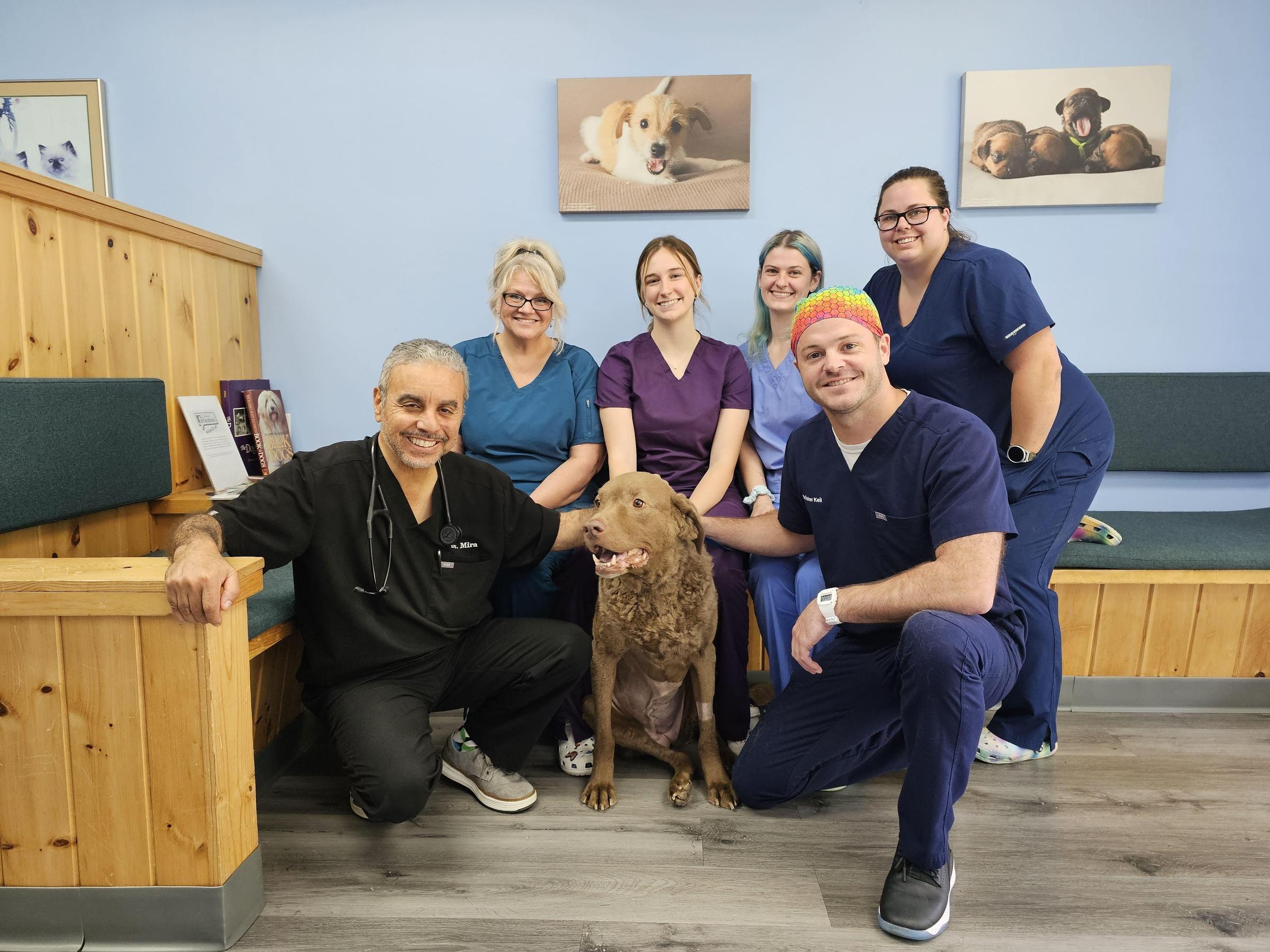 Pet Friendly Howard County Animal Hospital