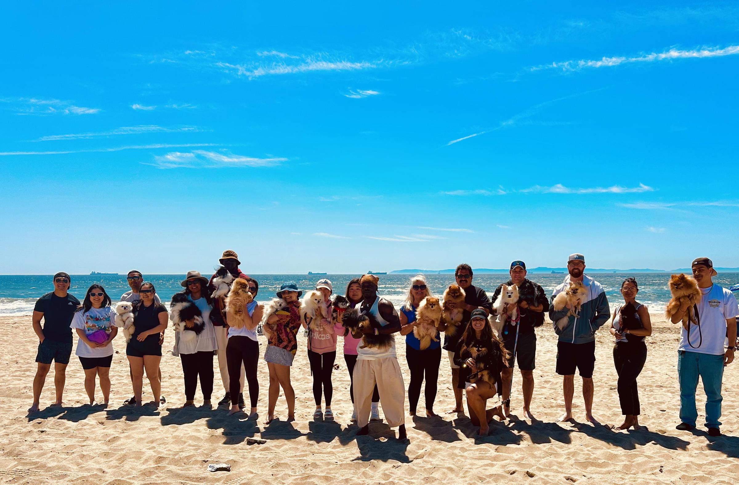 Pet Friendly Pom Beach Party