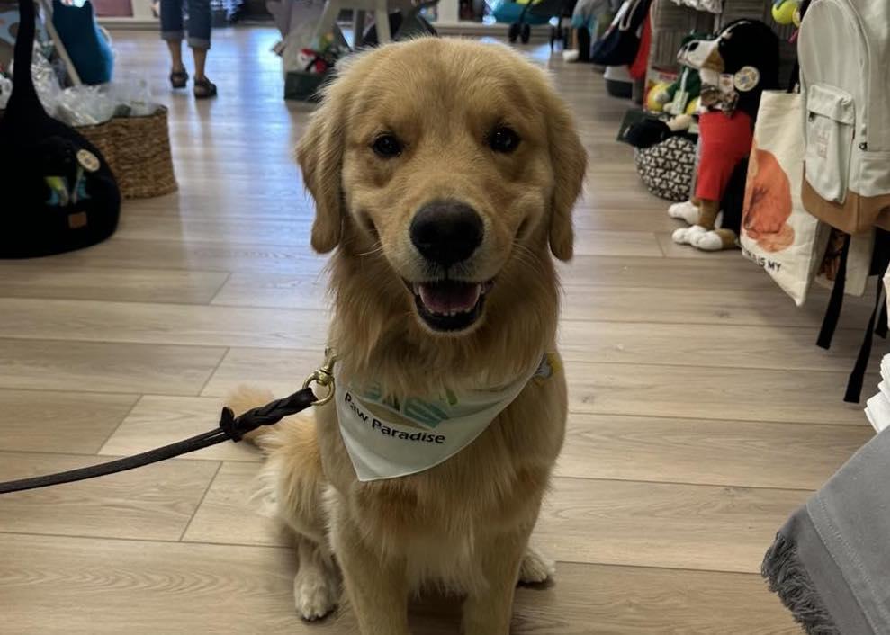 Pet Friendly Pierce's Paw Paradise