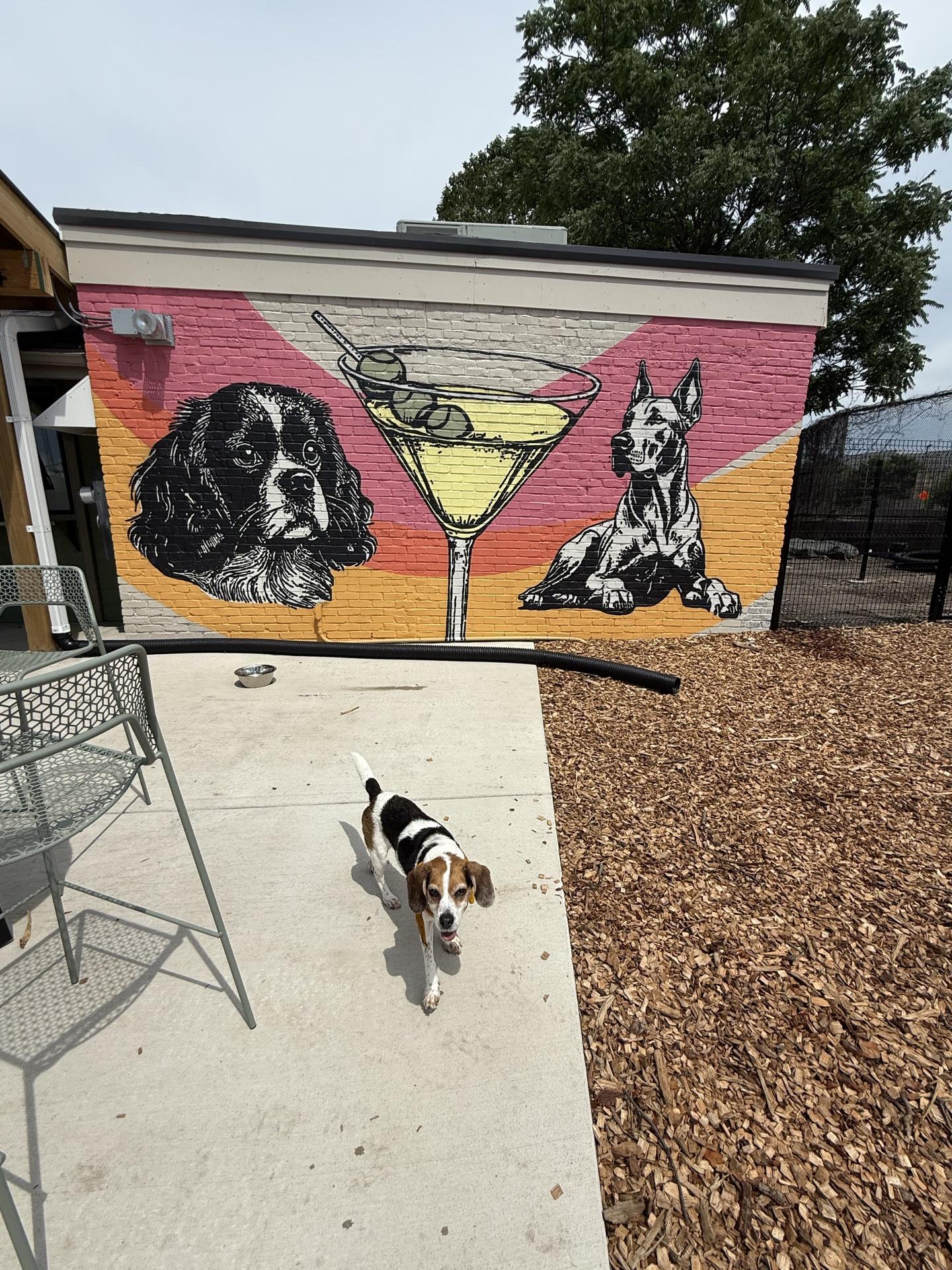Pet Friendly Hound Haus PGH