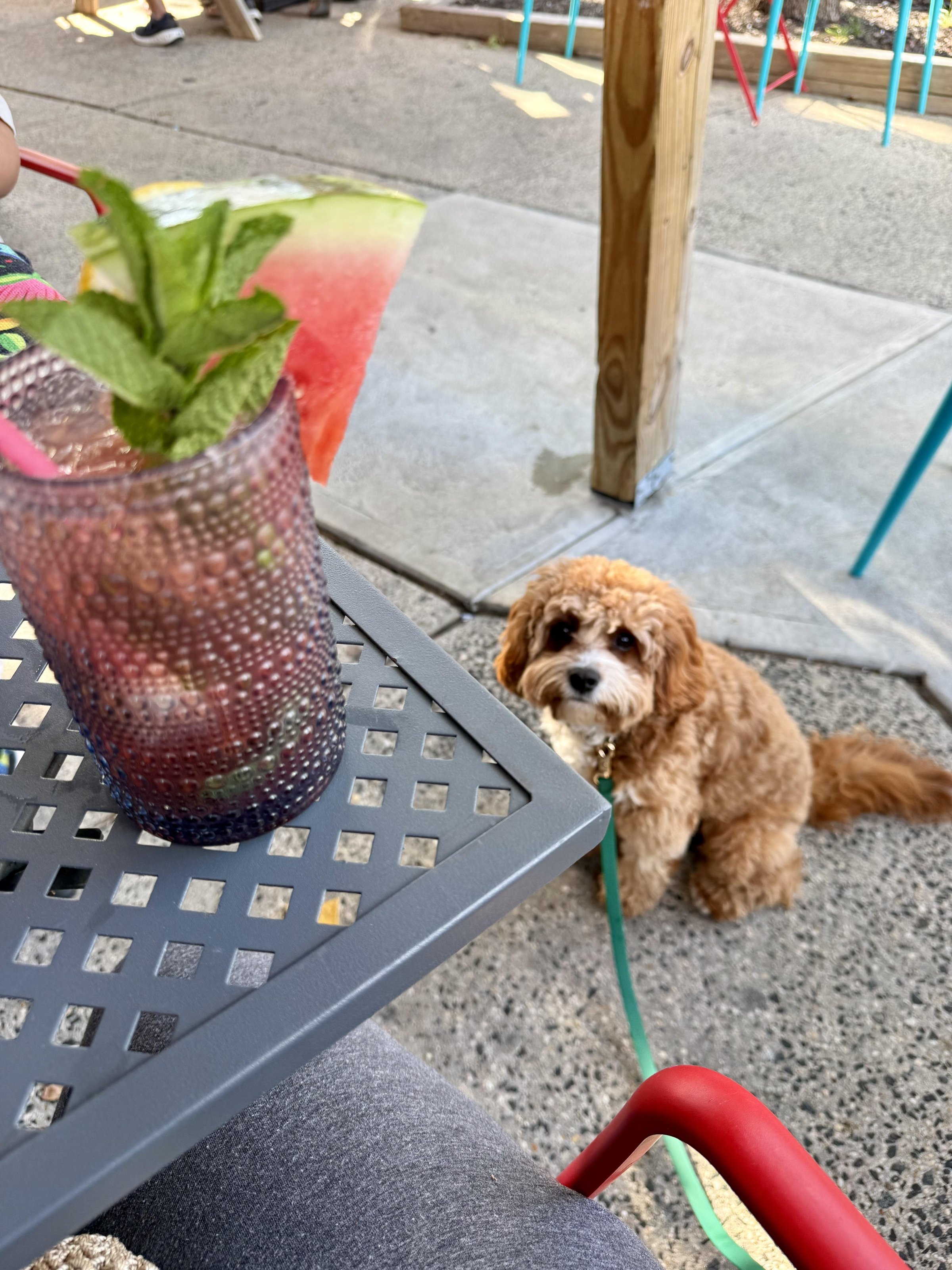 Pet Friendly La Casita Mexicana