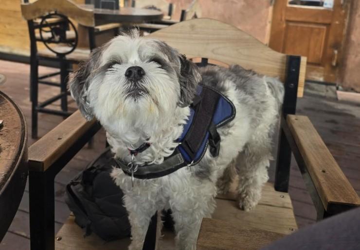 Black Pearl Restaurant at Pirate's Den Resort Pet Policy