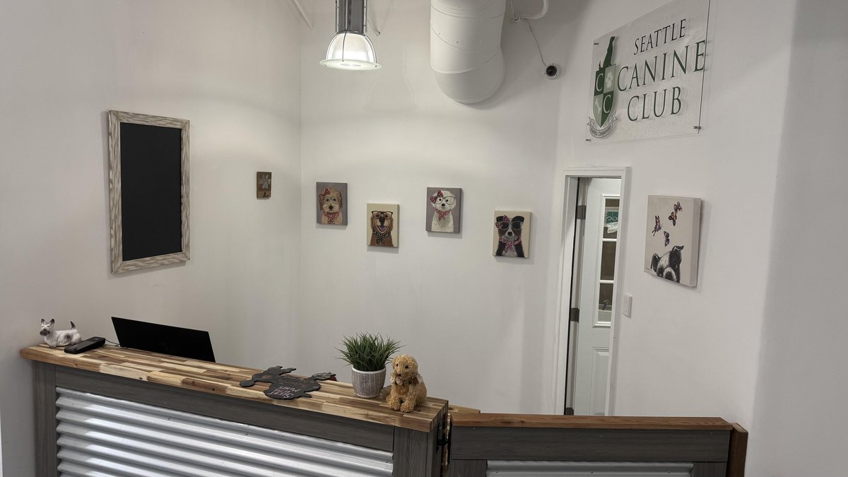 The front desk area of Seattle Canine Club, a dog groomer in Seattle, WA.