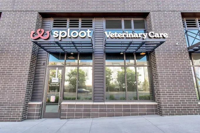 Photo of Sploot Veterinary Care Logan Square
