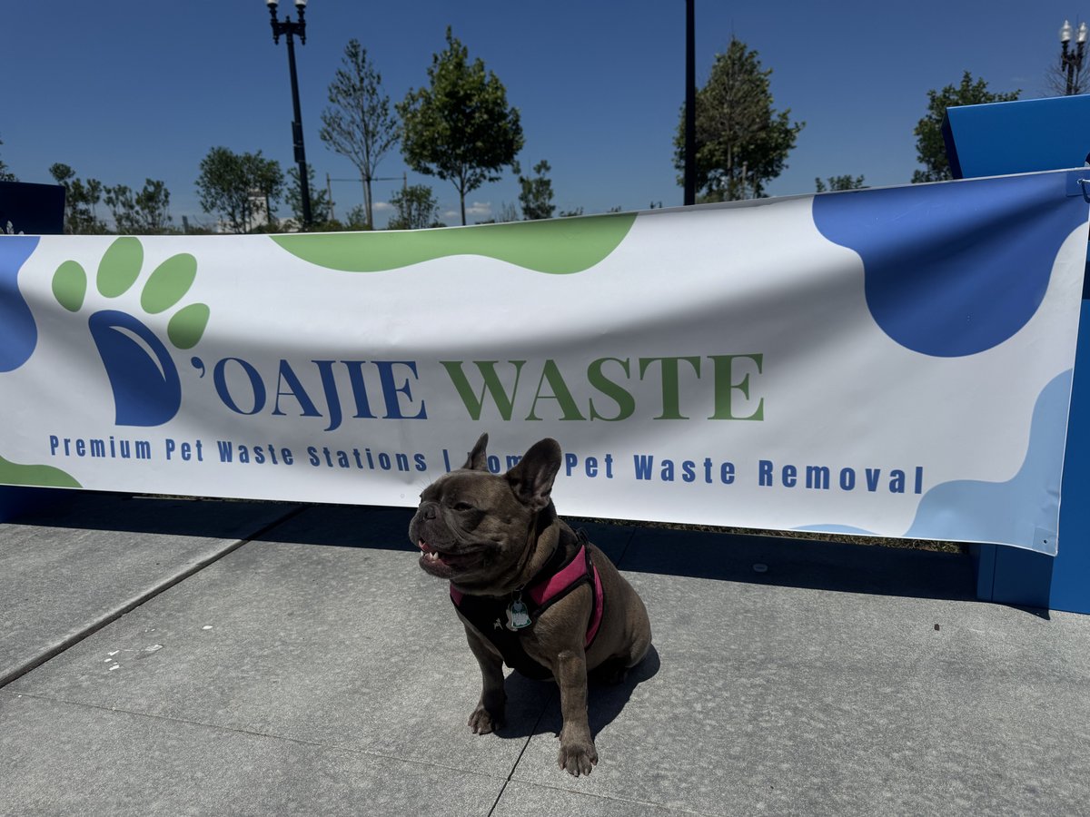 Brown French Bulldog with pink harness sitting at pet-friendly D'OAJIE WASTE in Beltsville, MD.