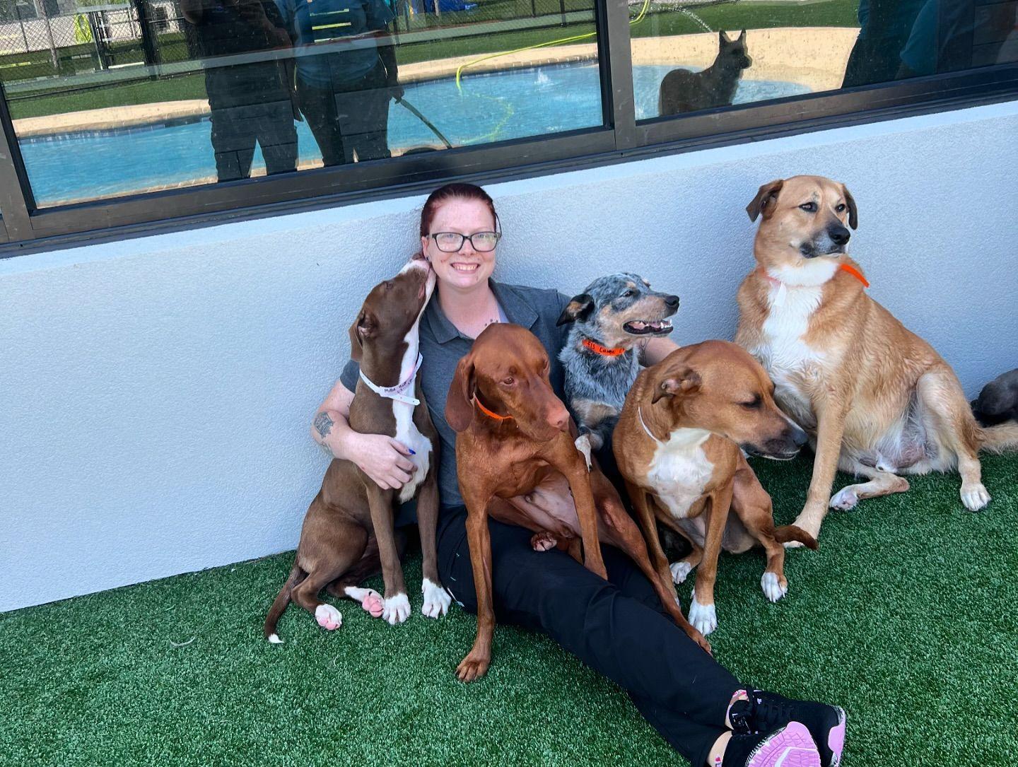 Pet Friendly Pet Paradise Lawrenceville