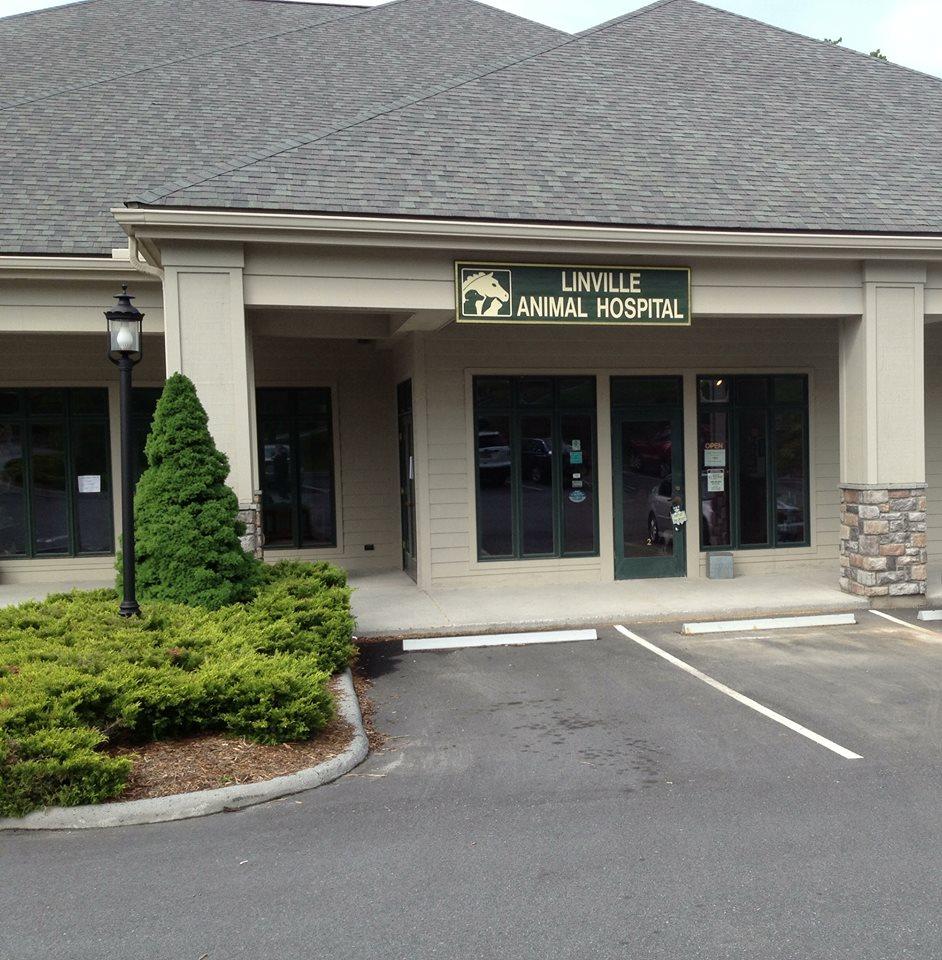 Directory Of Veterinarians In Banner Elk Nc Bringfido