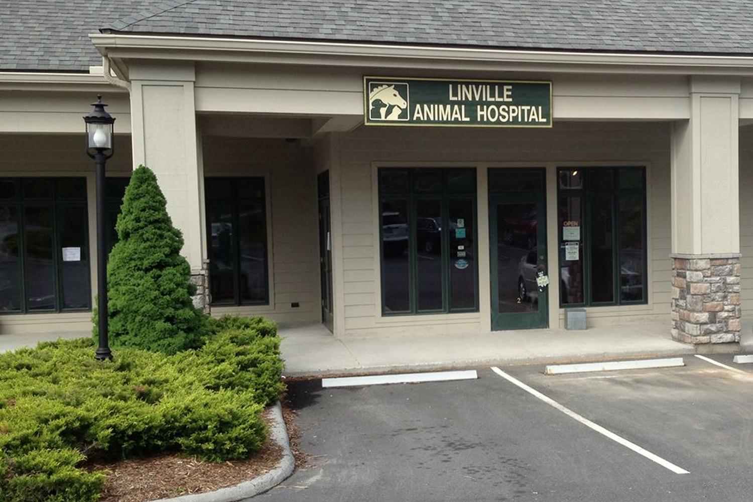 Linville Animal Hospital
