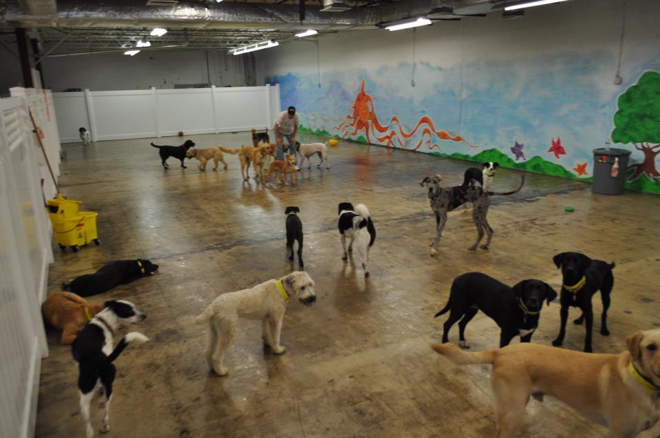 The Dog Stop Monroeville