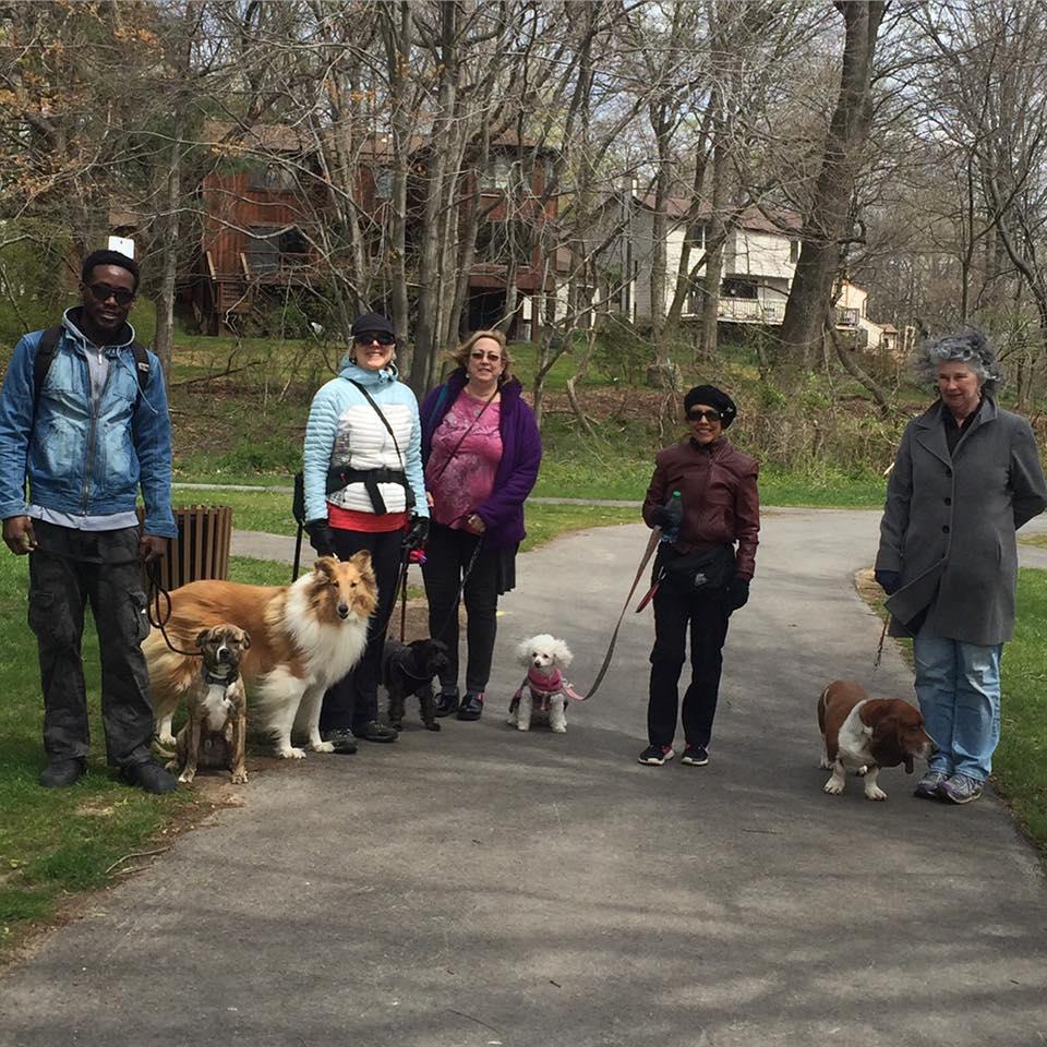 Pet Friendly Four Dog Lovers