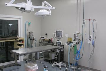 Plantation Animal Hospital Plantation Animal Hospital