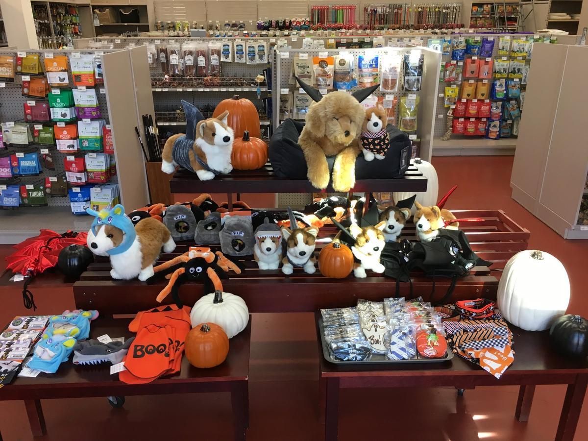 Directory of Pet Stores in Rye NY BringFido