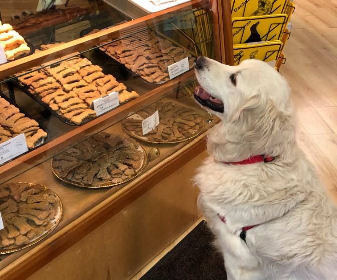 Pet Friendly Bone-A-Fide Pet Boutique
