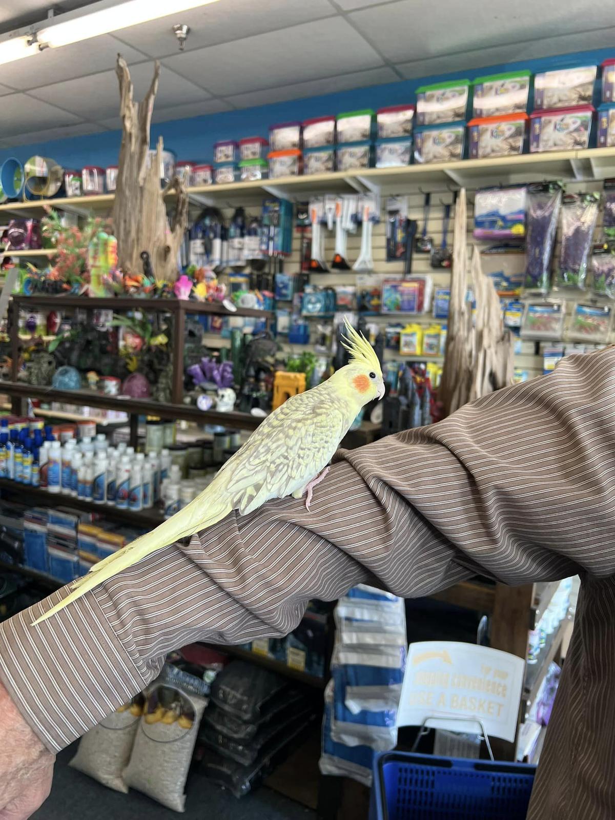 Steve s Pet Shop