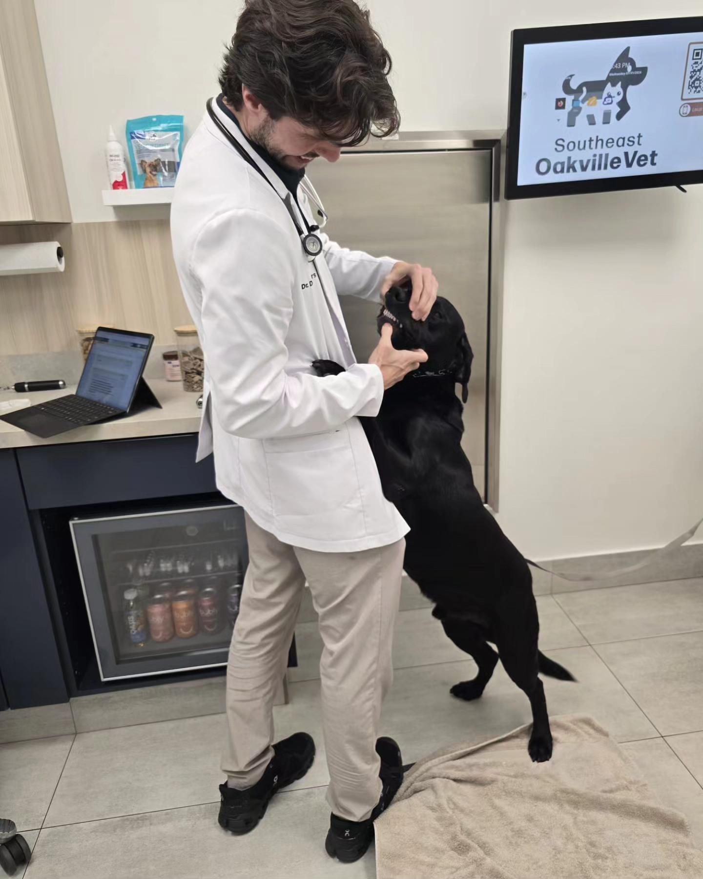 Pet Friendly Southeast Oakville Veterinary Hospital