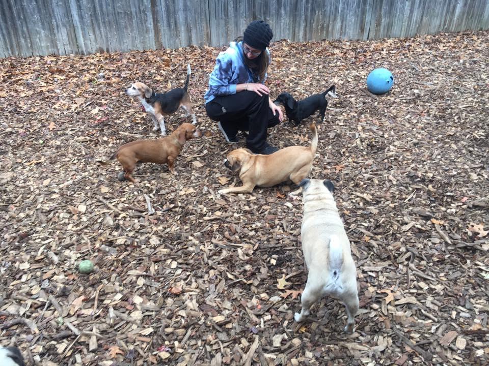 Country Haven Kennels & Dog Park