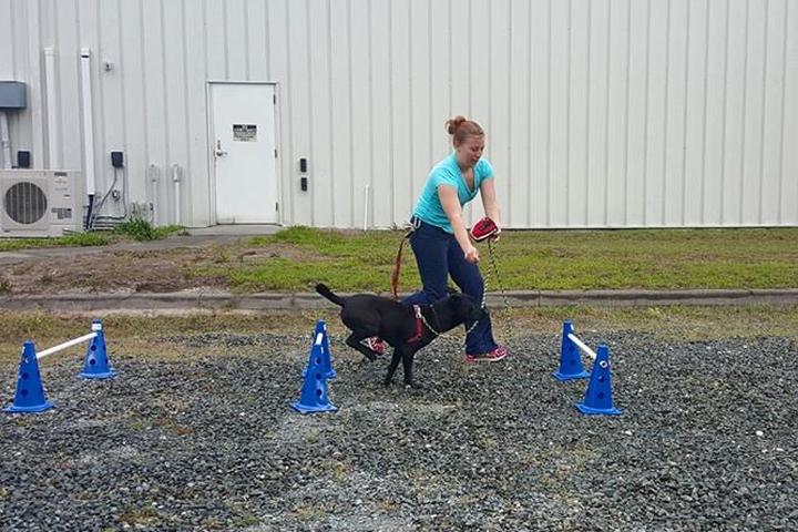 Pet Friendly K9 Fitness with Beckie