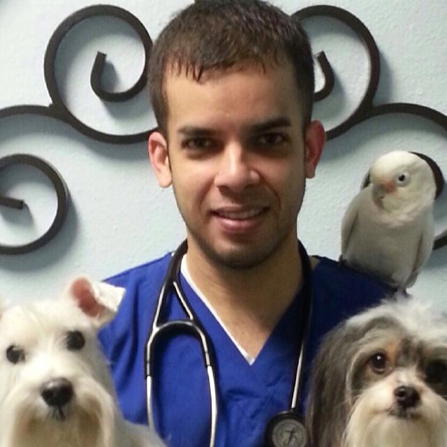 Pet Friendly Fort Lauderdale Veterinary Center