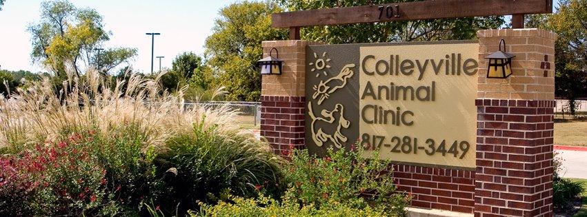 Pet Friendly Colleyville Animal Clinic
