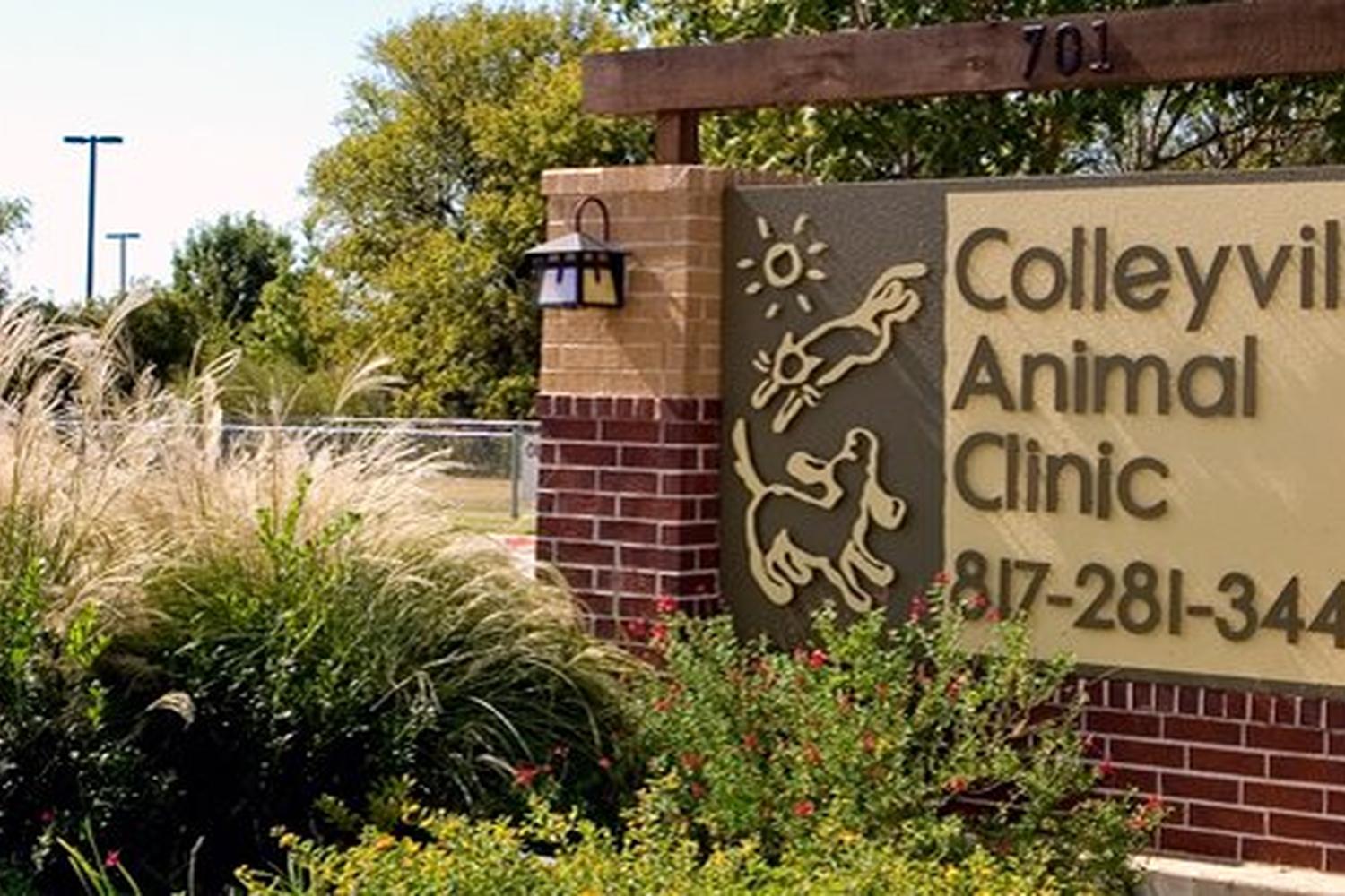 Colleyville Animal Clinic Colleyville Animal Clinic