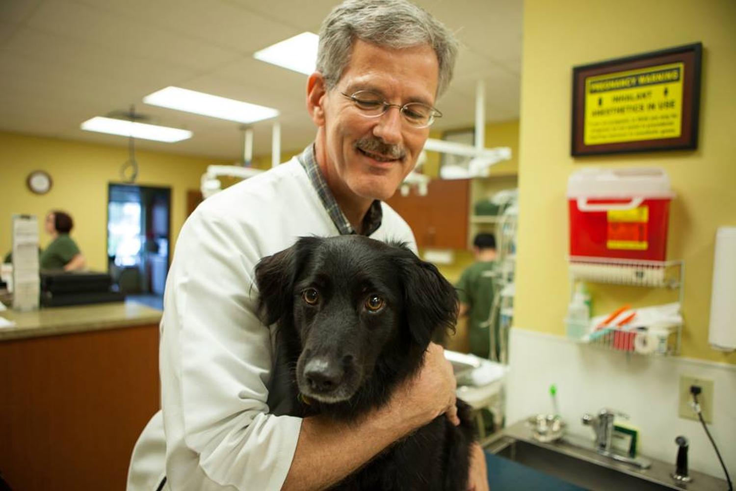 Colleyville Animal Clinic Colleyville Animal Clinic