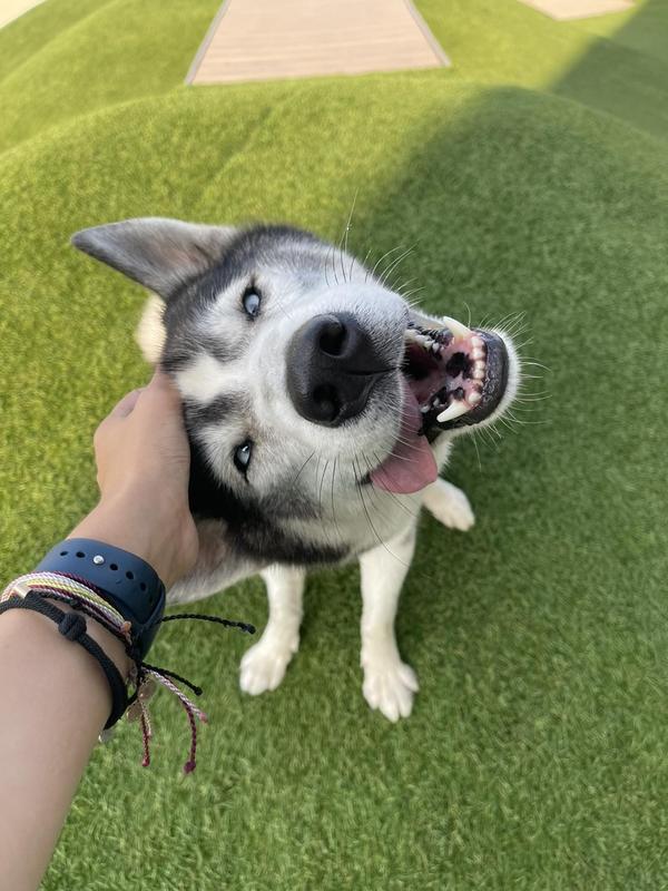 Petropolis St. Charles