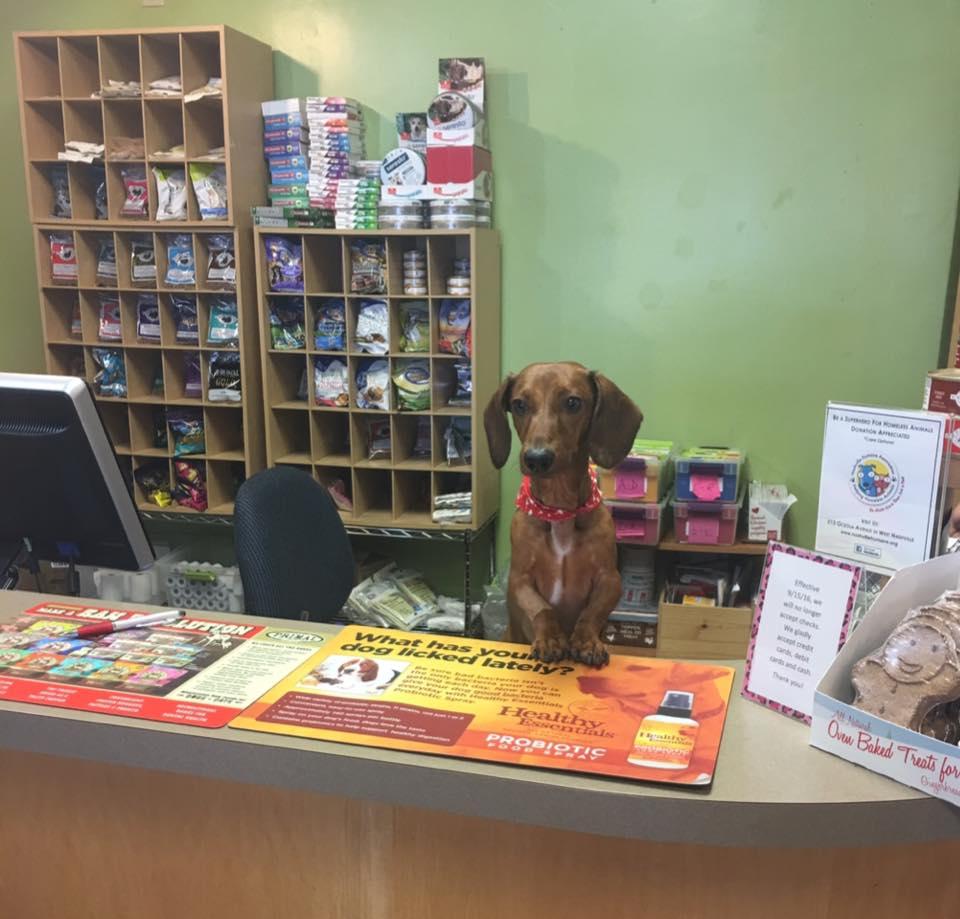 Directory of Dog Grooming in Nashville, TN BringFido