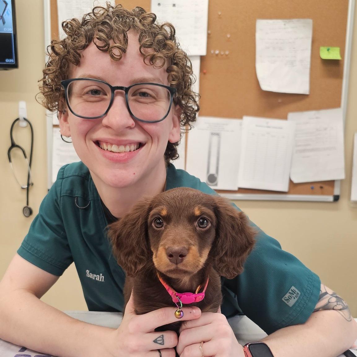 Plantation Midtown Animal Hospital plantation-midtown-animal-hospital