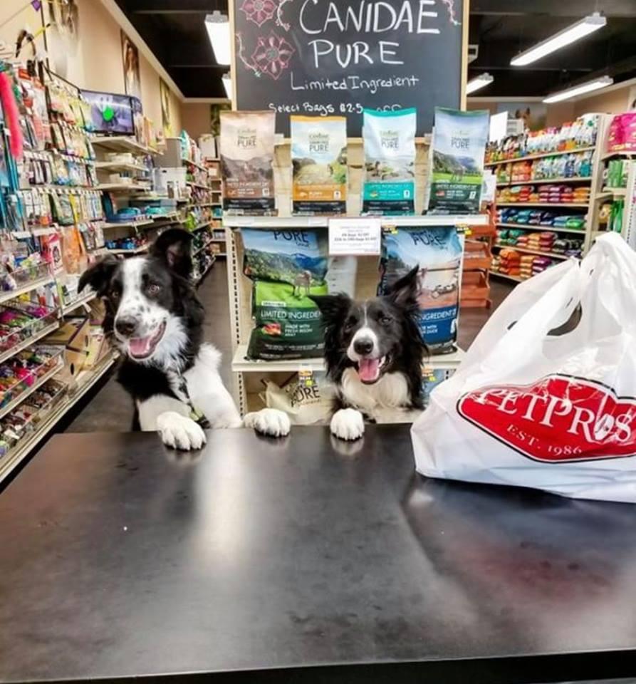 Pet Pros