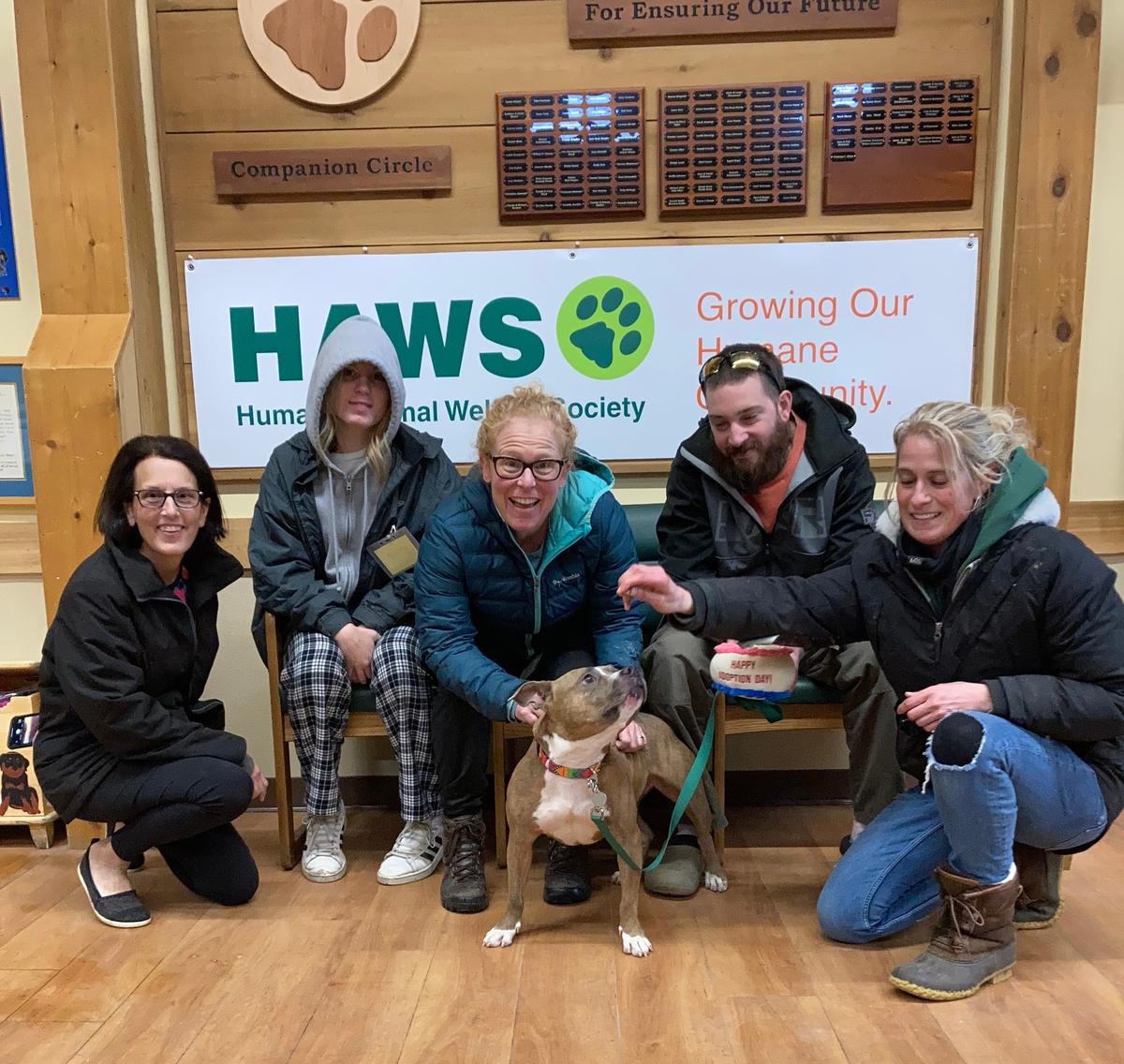 Humane animal hotsell welfare society